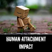 Human Attachment Impact