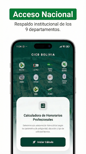 CICB Aranceles Bolivia Screenshot 0