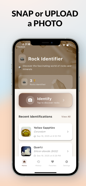 Rock Identifier & Stone ID Screenshot 2