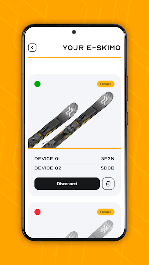 E-Skimo Screenshot 2