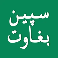 Pashto Shayari Spin Baghawat