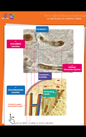 Hi-Med App Screenshot 2