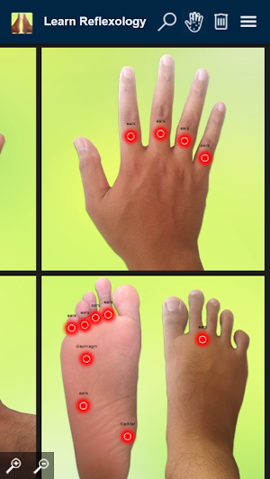 Learn Reflexology Areas Screenshot 2