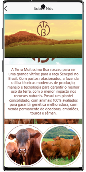 Terra Muitíssimo Boa Screenshot 1