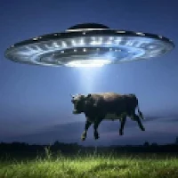 Ufo Hunt