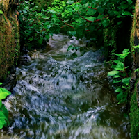 3D Nature Live Wallpaper