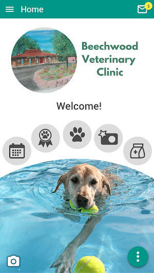 Beechwood Vet Clinic Screenshot 0