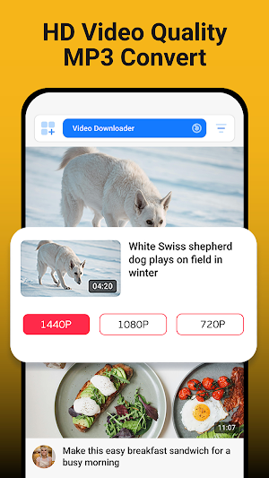 All Social Video Downloader Screenshot 2