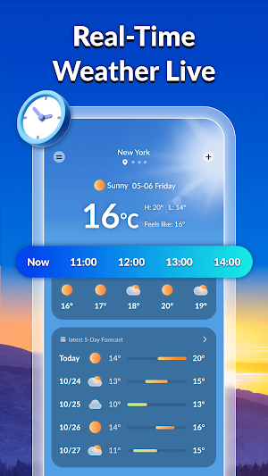 Weather Home Screenshot 0