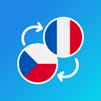 Czech-French translator