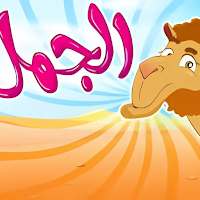 أغنبية جمل جمل 2025