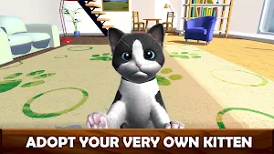 Daily Kitten : virtual cat pet Screenshot 1