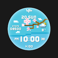SamWatch Pixel F