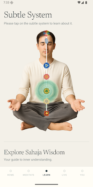 Sahaja Yoga Meditation Screenshot 3