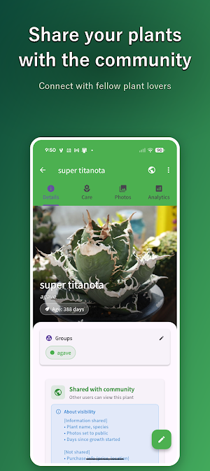 Midorella Screenshot 0