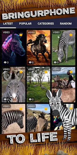 zebra wallpaper Screenshot 1