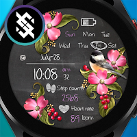 BFF62- Blackboard Art Bird