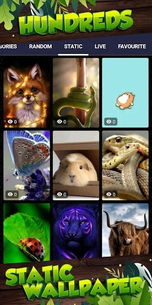 animal wallpaper Screenshot 3
