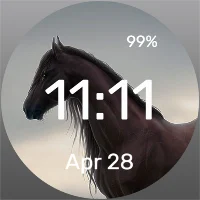 Wild Stallion - Watch Face