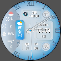 N-SPORT299 BlueCoral Watch