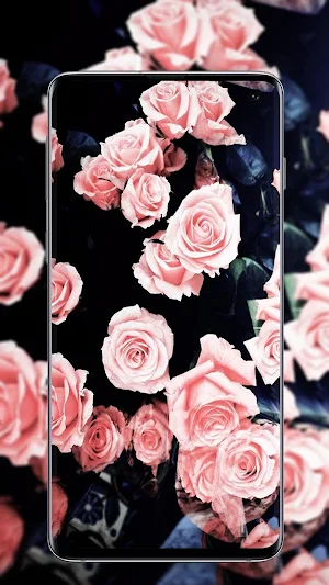 Rose Gold Wallpaper Screenshot 1