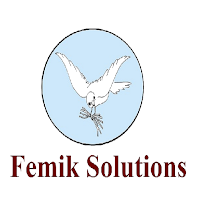 Femiksolutions