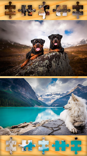 Dogs Puppies Puzzles Jigsaws Screenshot 2