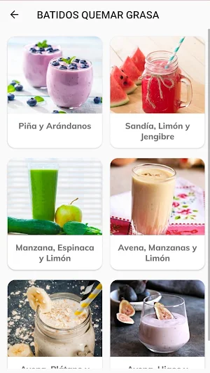 Batidos para Adelgazar Screenshot 2