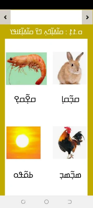 Nko Apprentissage Screenshot 0