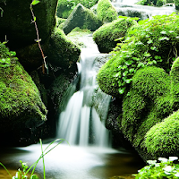 Beautiful Mountain Scenes