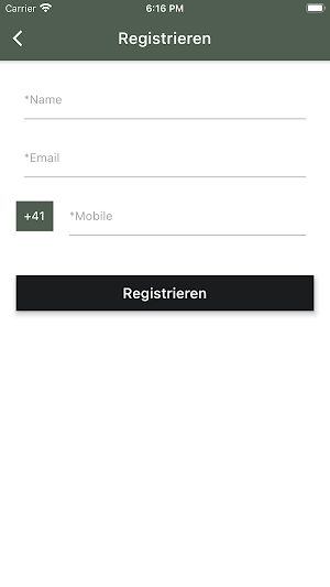 Pizzeria Frohsinn Screenshot 2