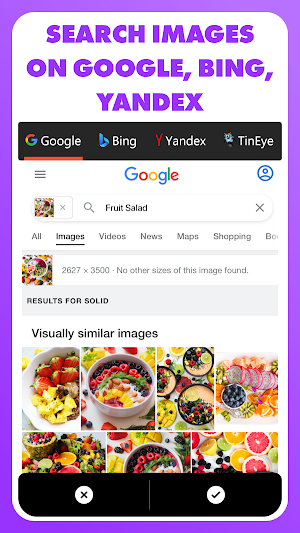 Reverse - Image Search Screenshot 1