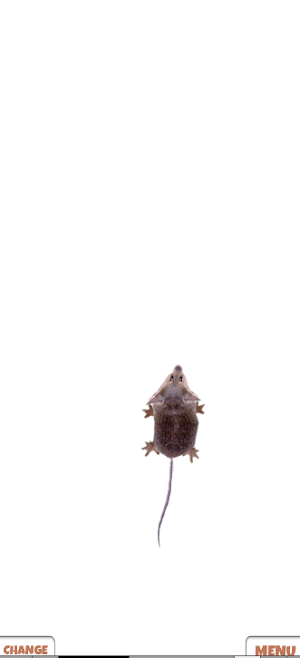 Games for cat - catch the rat Screenshot 3
