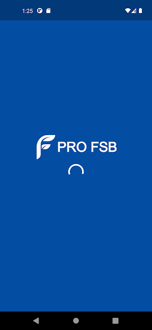 PRO FSB Screenshot 1