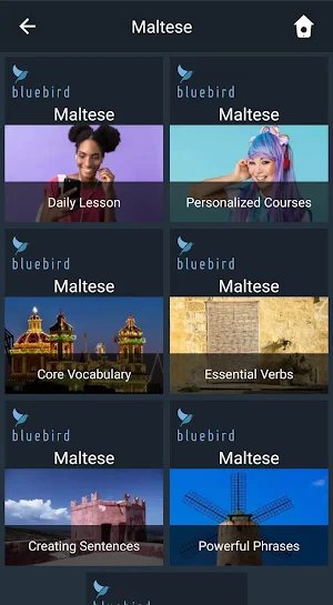 Learn Maltese. Speak Maltese. Study Maltese. Screenshot 0