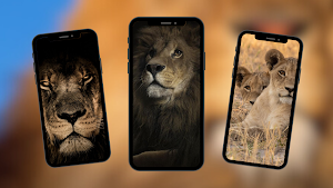 Lion Wallpapers Screenshot 3
