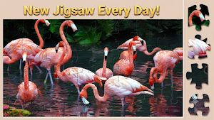 Jigsaw Animal: Jigsaw Puzzles Screenshot 2