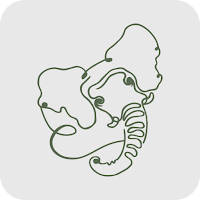 White Elephant