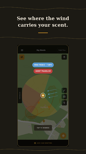 Scout Theory Screenshot 0