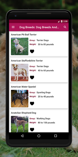 Dog Breeds Encyclopedia: Dog Breeds App Screenshot 1