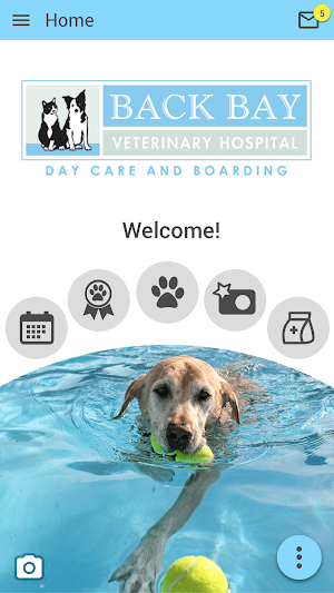 Back Bay Vet Screenshot 0