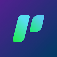 Puma VPN: Agile Safe Pathway