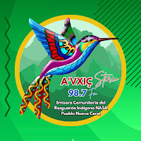 AVXIC Stereo