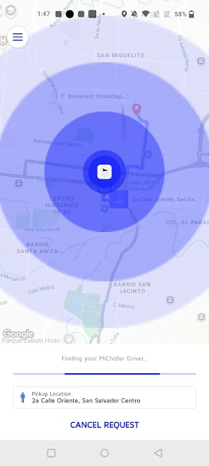 MiChofer Screenshot 2