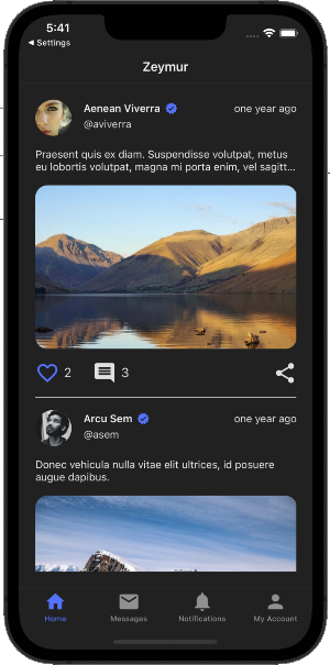 Zeymur Social Template XF Screenshot 1