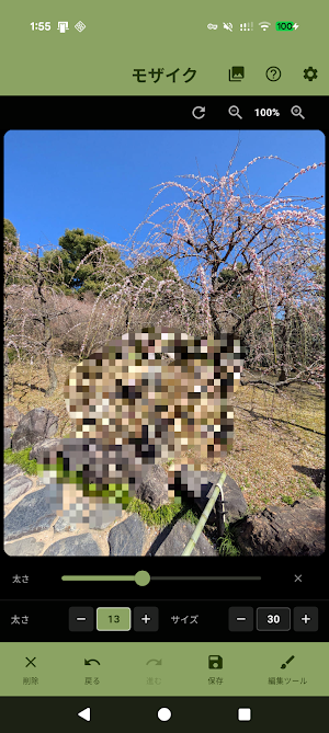 写真モザイク＆ぼかしPLUS  ～指でなぞってかんたん加工～ Screenshot 2