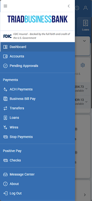 Triad Business Bank Treasury Screenshot 2