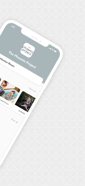The Phoenix Project Screenshot 1
