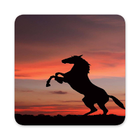 Horse Live Wallpapers HD