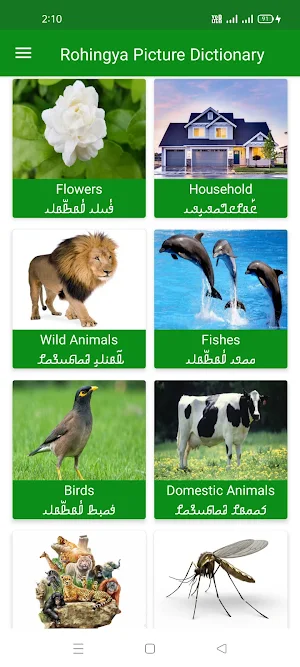 Rohingya Picture Dictionary Screenshot 1